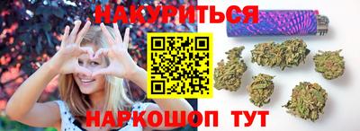 шишки Балашиха
