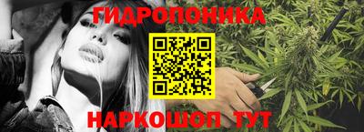 шишки Балашиха