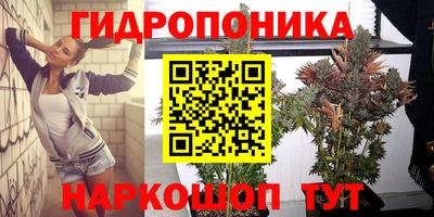 шишки Балашиха