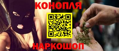 шишки Балашиха