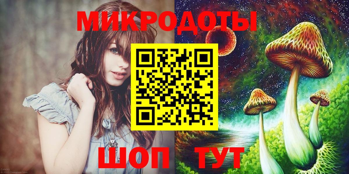 Галлюциногенные грибы прущие грибы  Вход с VPN  Артём  Галлюциногенные грибы прущие грибы 