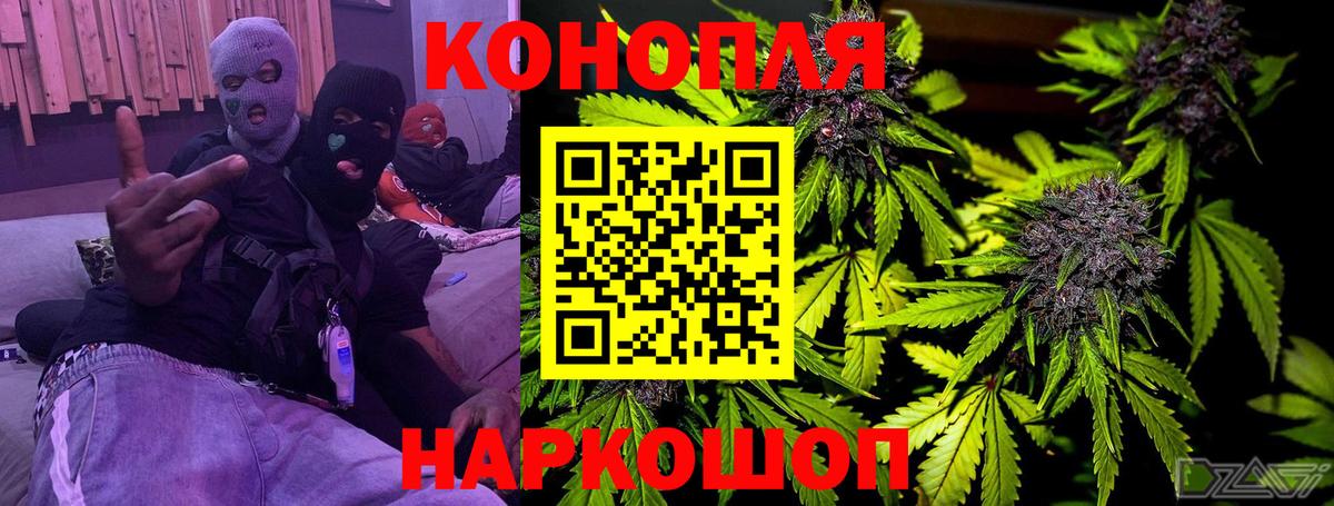 Бошки марихуана Ganja  Бошки Шишки Bruce Banner  Каннабис Bruce Banner  Вход с VPN  Артём 